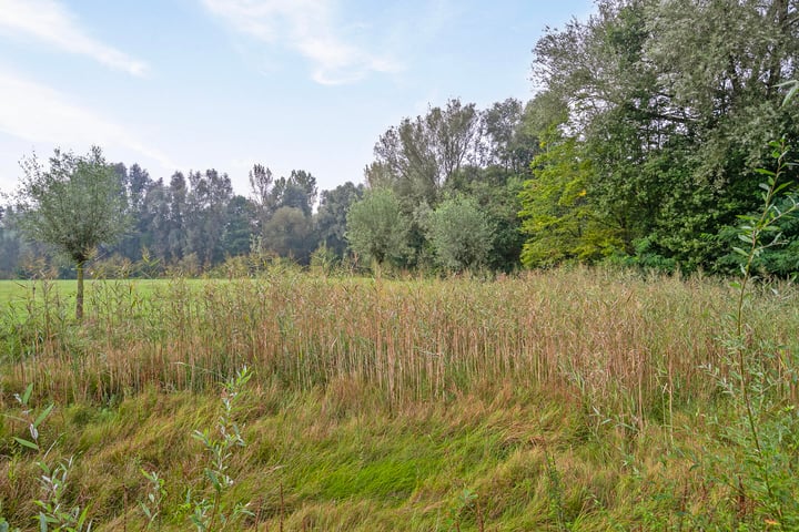 Bekijk foto 43 van Hamelijnckhof 24