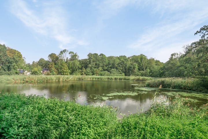 Foto 26 van Wilhelminastraat 25