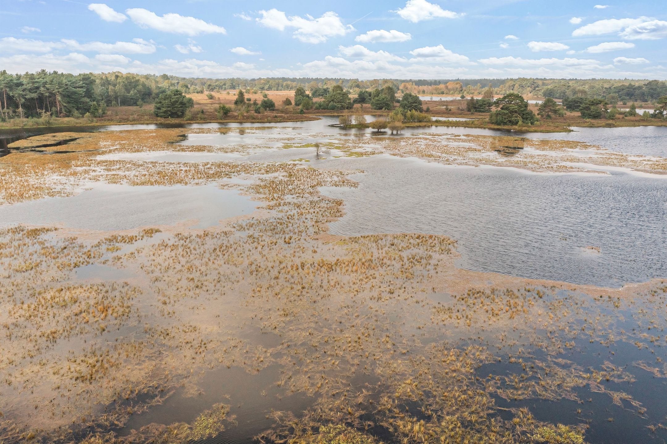 Foto 15 van Bergvennenweg 35-S2
