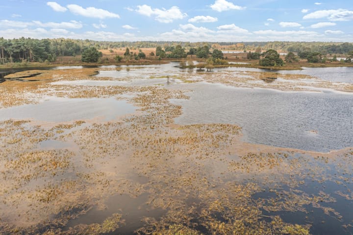 Photo 15 of Bergvennenweg 35-S2
