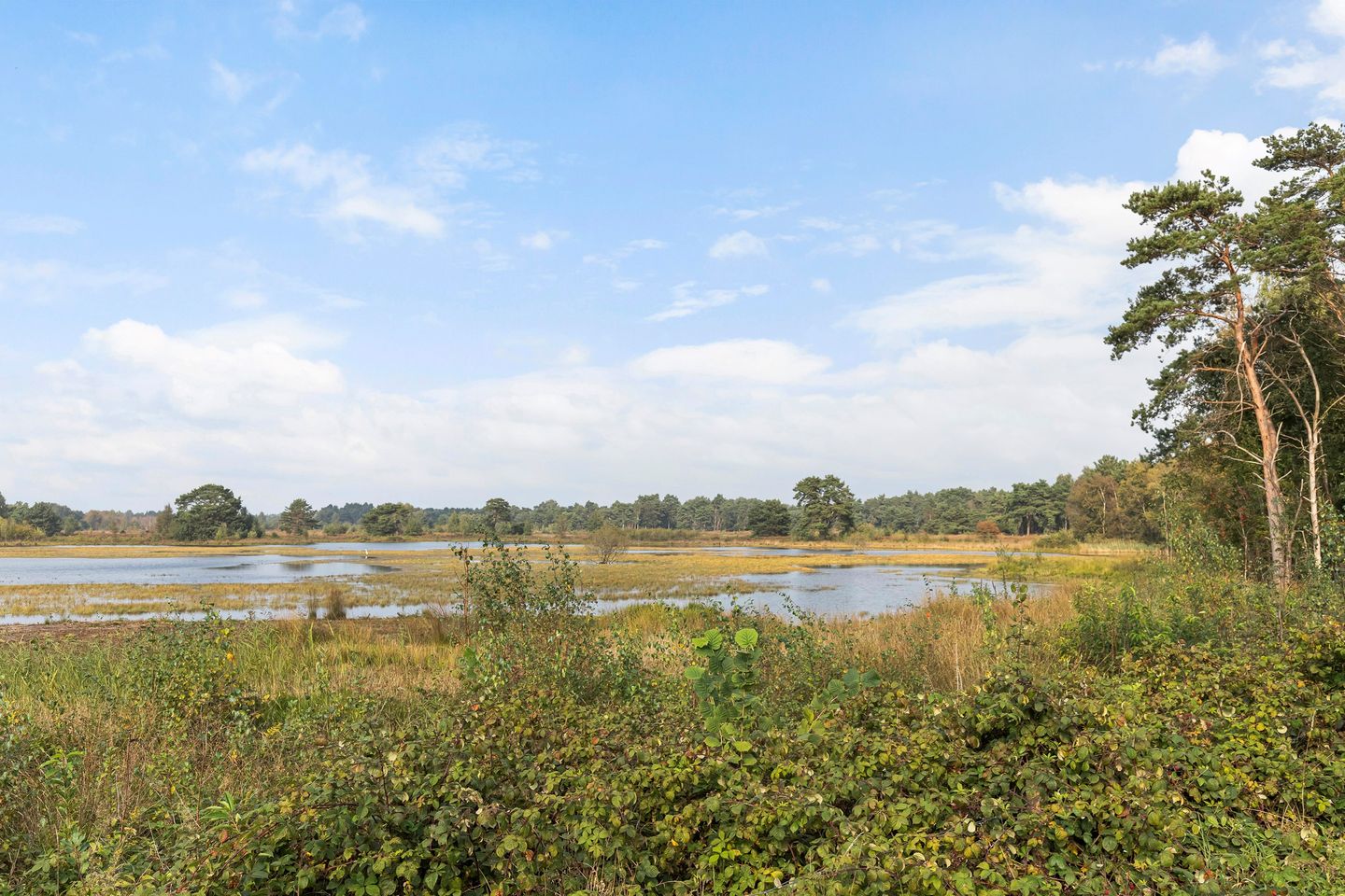 Foto 20 van Bergvennenweg 35-S2