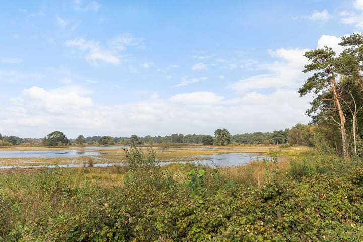 Photo 20 of Bergvennenweg 35-S2