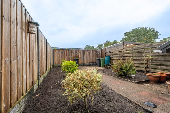 Photo 25 of Triton 19