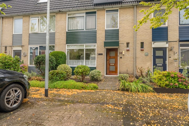 Photo 28 of Triton 19