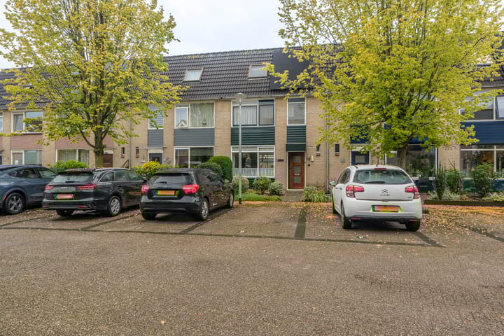 Photo 29 of Triton 19