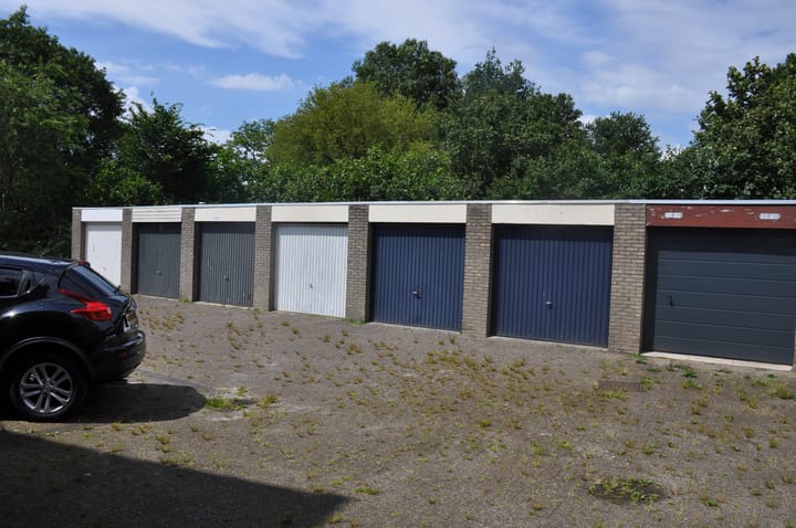 Photo 31 of Triton 19