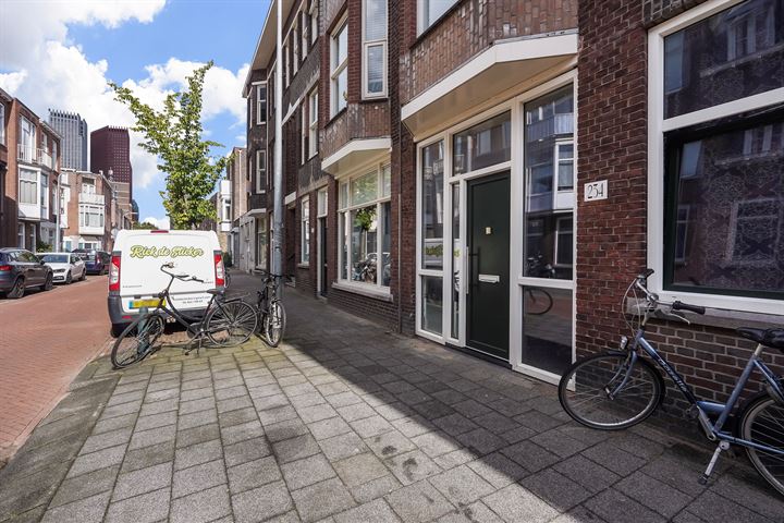 Bekijk foto 28 van Maasstraat 234