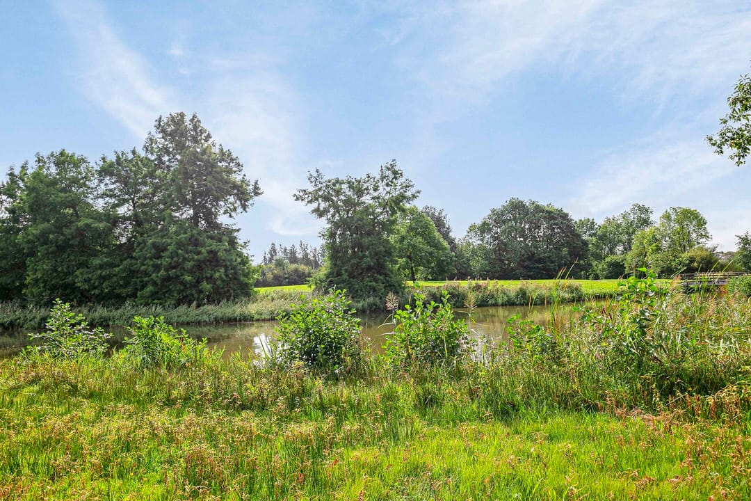 Foto 31 van Mevrouw De Rooweg 167