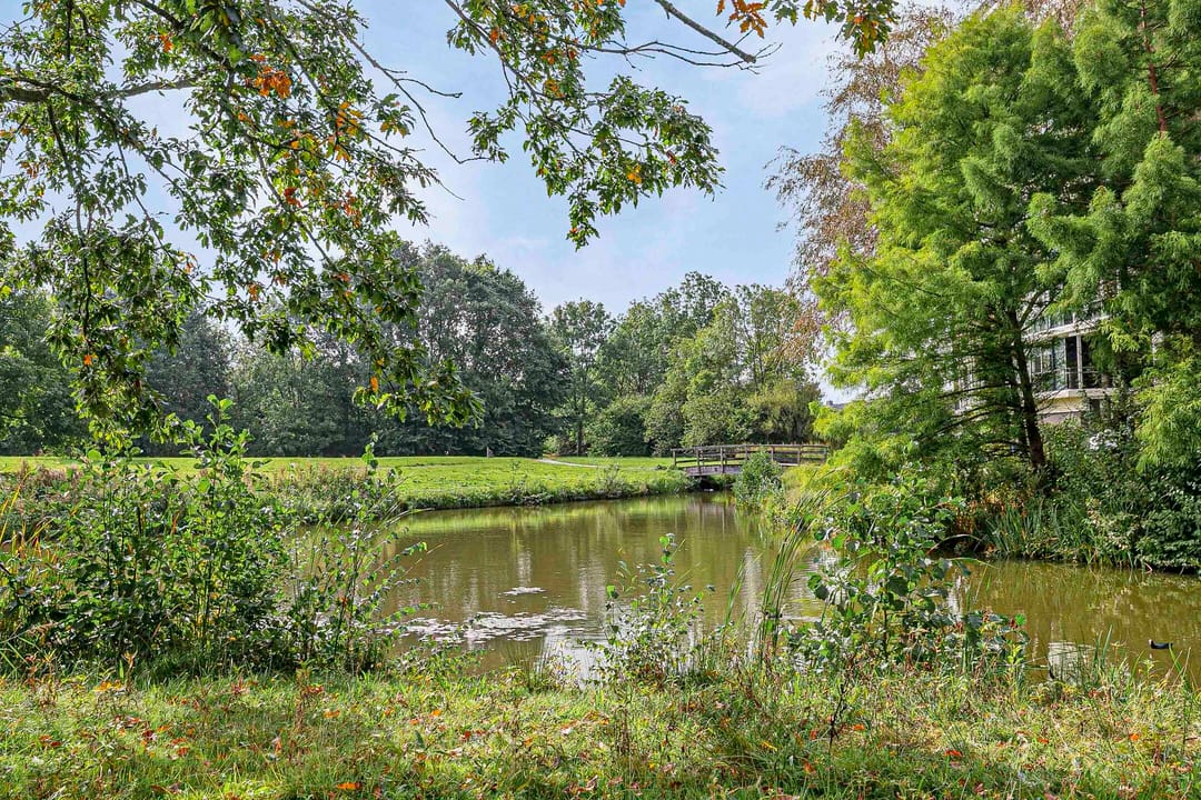 Foto 32 van Mevrouw De Rooweg 167