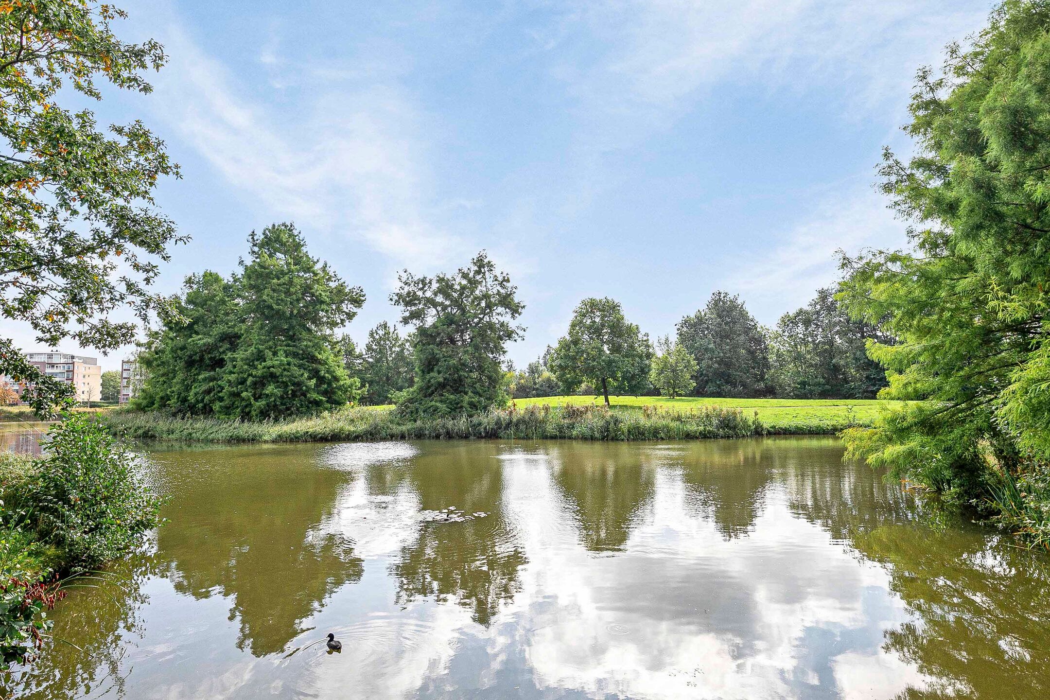 Foto 33 van Mevrouw De Rooweg 167