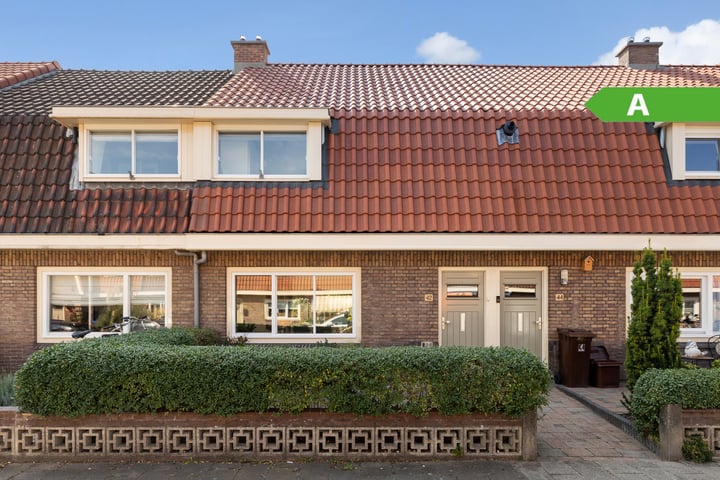 Bekijk foto van Groen van Prinstererstraat 42