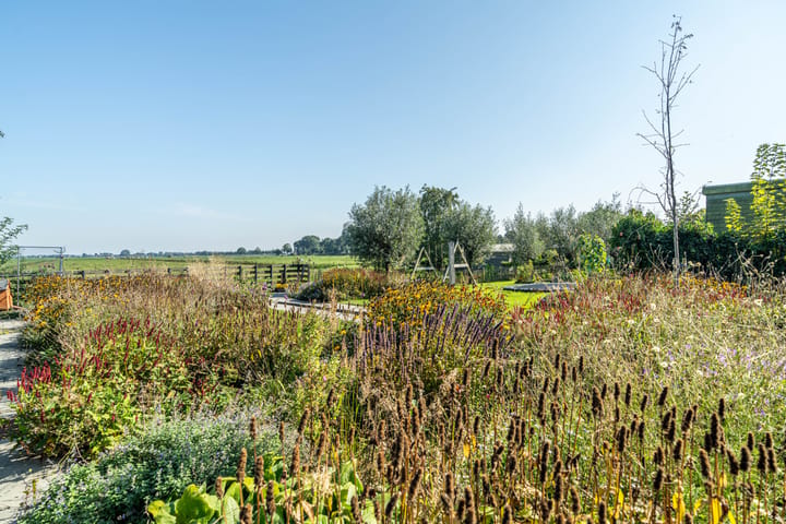 Photo 62 of Watertje 3