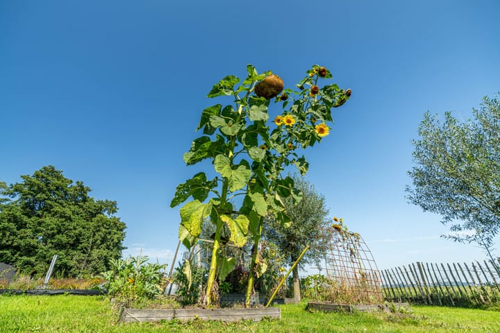 Photo 67 of Watertje 3