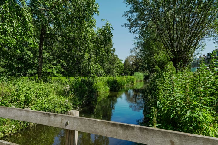 Bekijk foto 6 van Seringenlaan 41