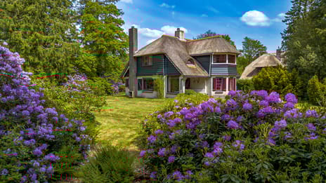 undefined main image