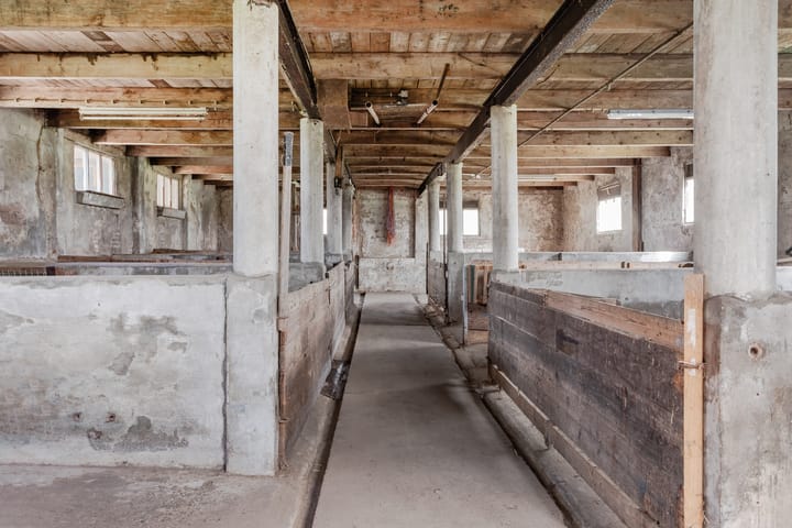 Photo 27 of Noord-Spierdijkerweg 201