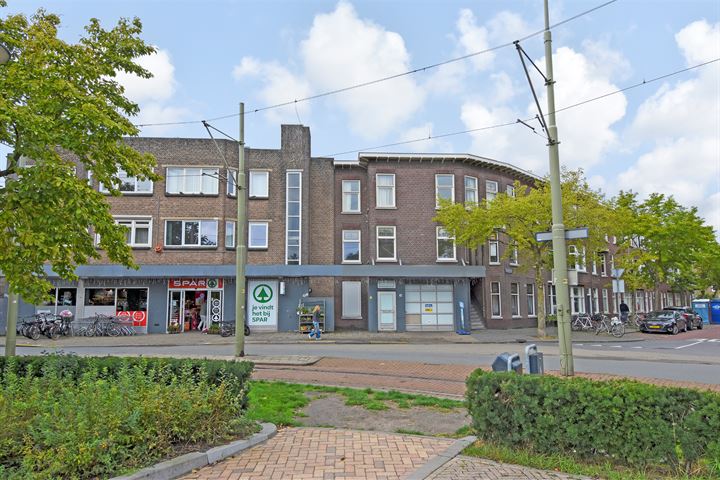 Bekijk foto 36 van Pahudstraat 213