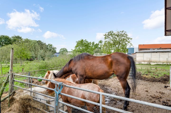 Foto 27 van Melenborgweg 11