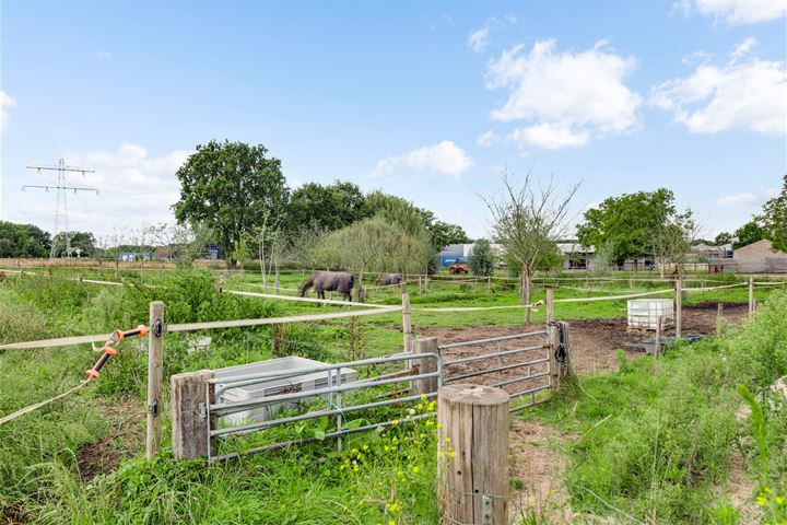 Bekijk foto 31 van Melenborgweg 11