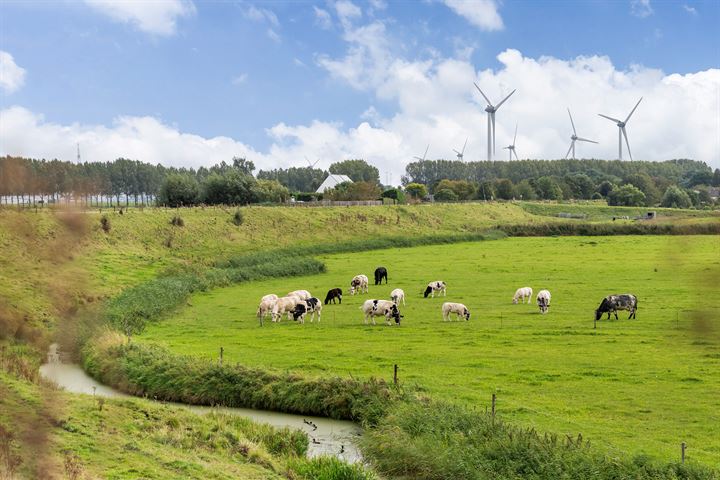 Bekijk foto 26 van Noordeinde 30