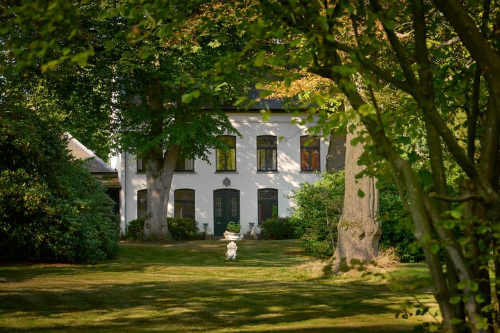 Foto 2 van Dommelstraat 41