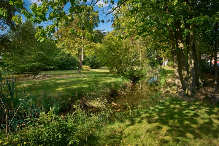 Foto 23 van Dommelstraat 41