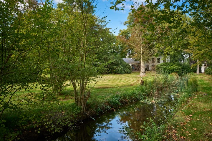 Foto 24 van Dommelstraat 41