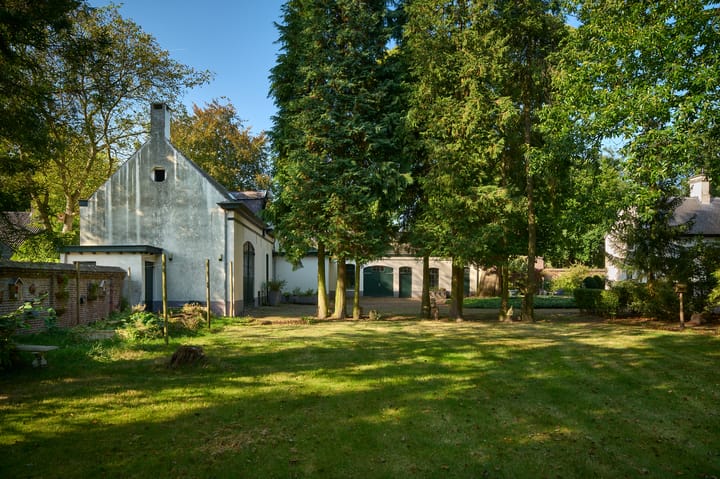 Foto 25 van Dommelstraat 41