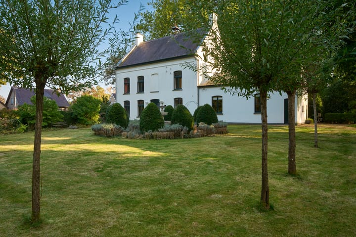 Foto 31 van Dommelstraat 41