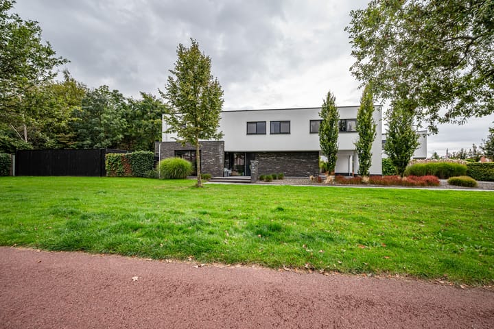 Photo 8 of Aletta Jacobshage 26