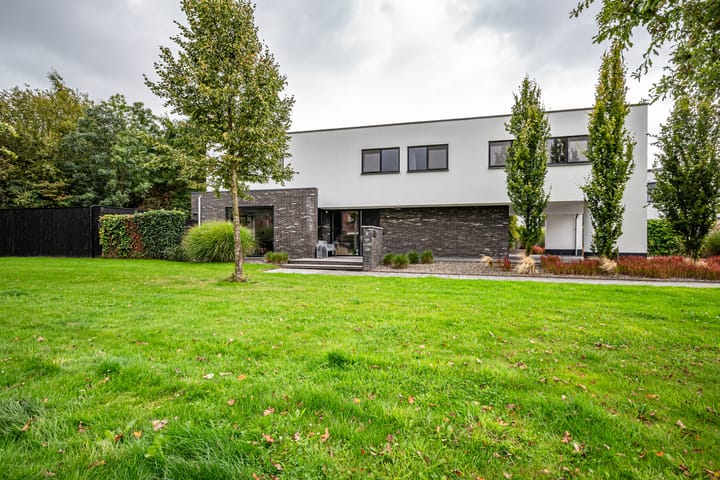 Photo 9 of Aletta Jacobshage 26