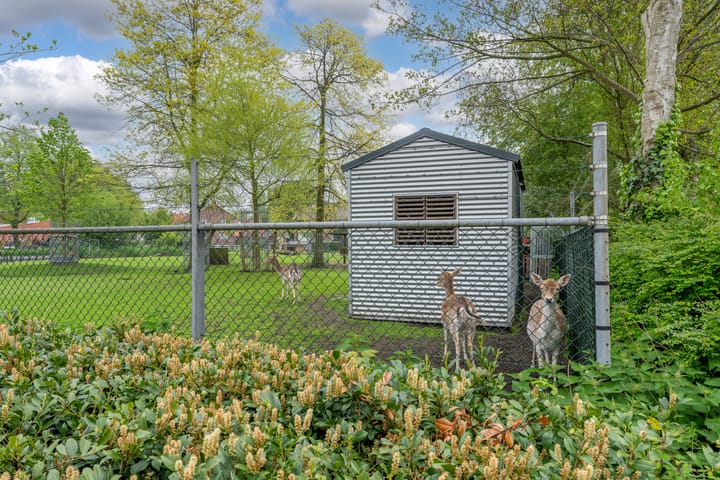 Photo 38 of Anemonenstraat 58