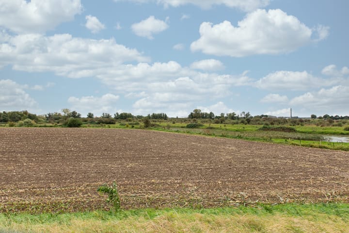 Photo 77 of Boterdijk 4