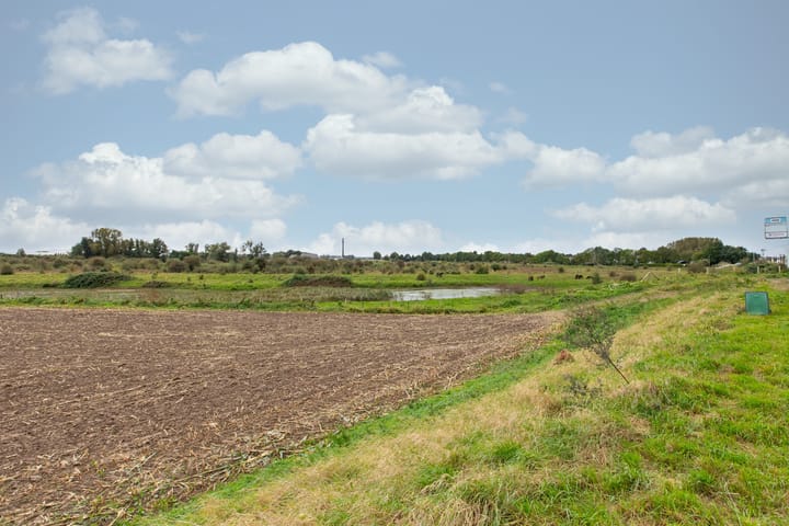 Photo 78 of Boterdijk 4