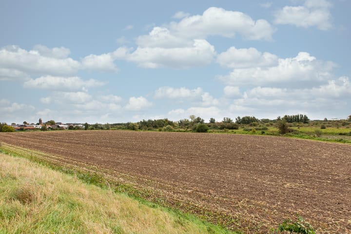 Photo 79 of Boterdijk 4