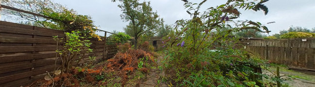 Bekijk 360° foto van Achtertuin van Burgemeester Brandtstraat 34