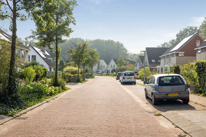 Bekijk foto 41 van Schimmelpennincksingel 1