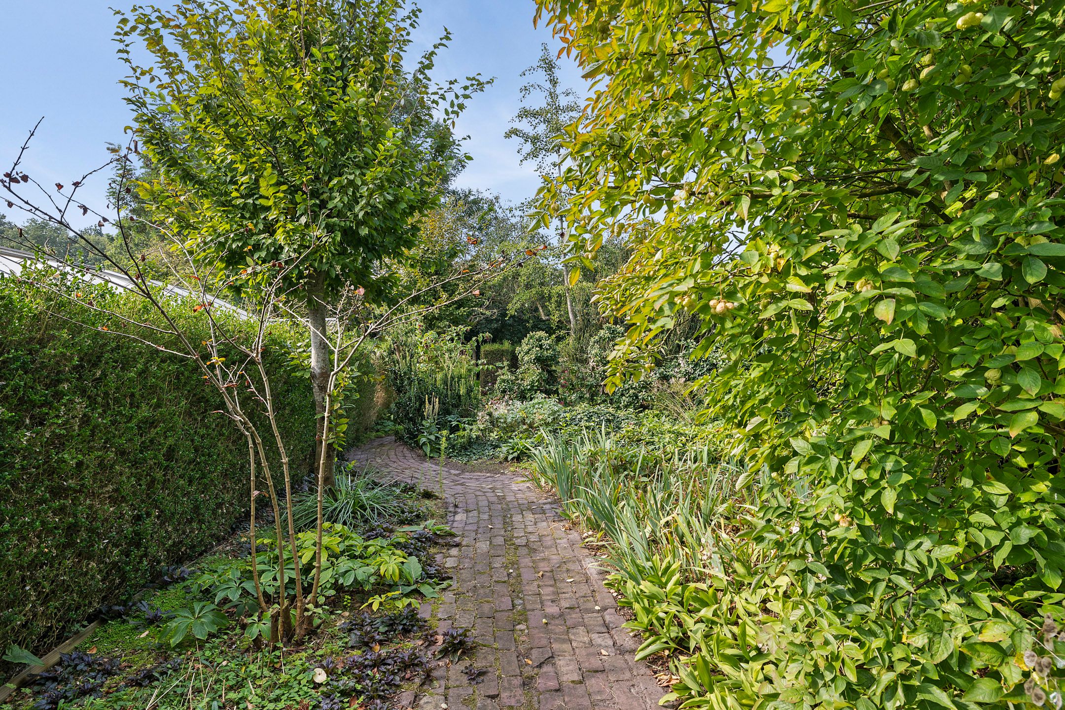 Photo 9 of Bunnerweg tussen 1 en 5