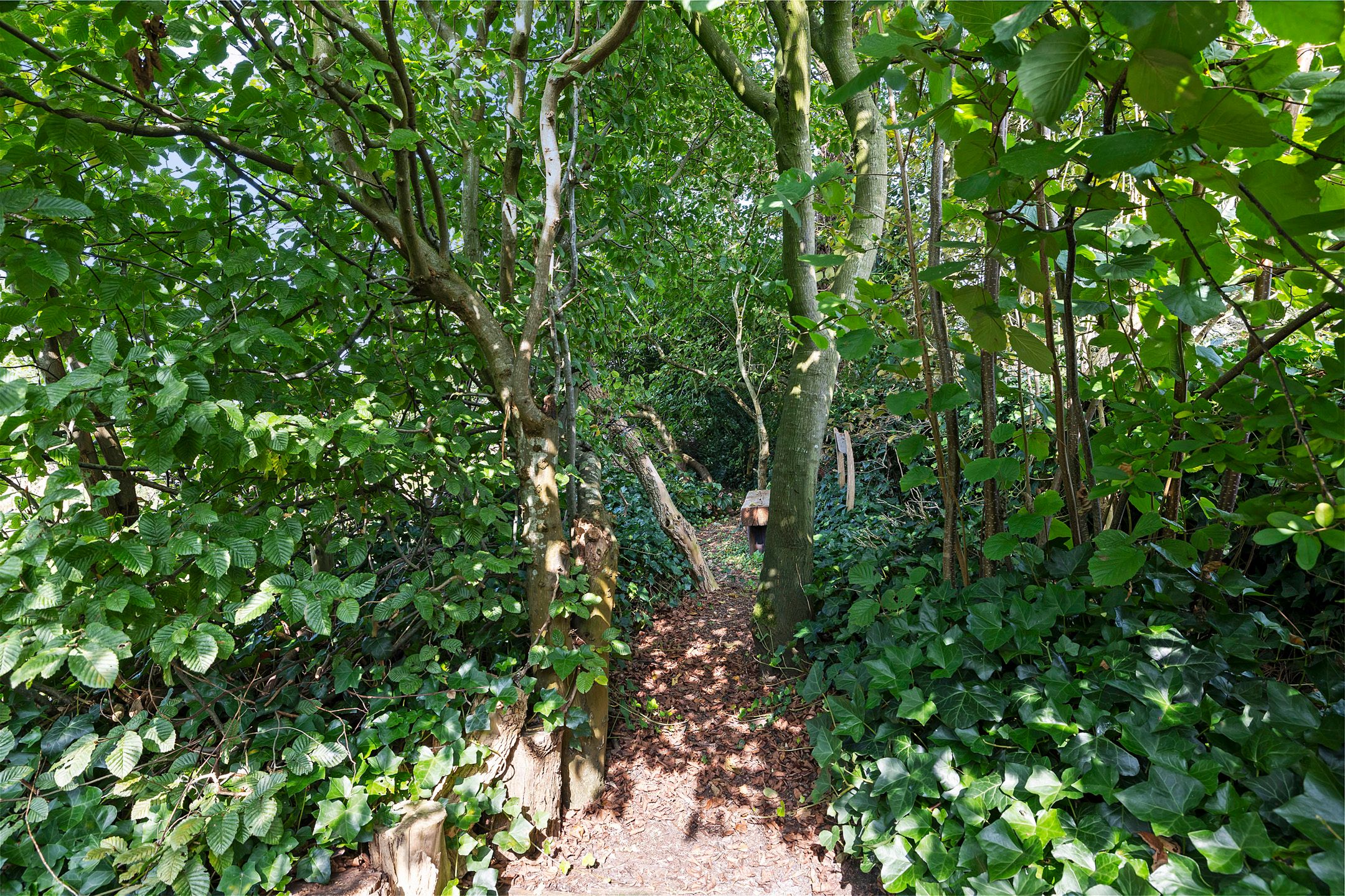 Photo 12 of Bunnerweg tussen 1 en 5