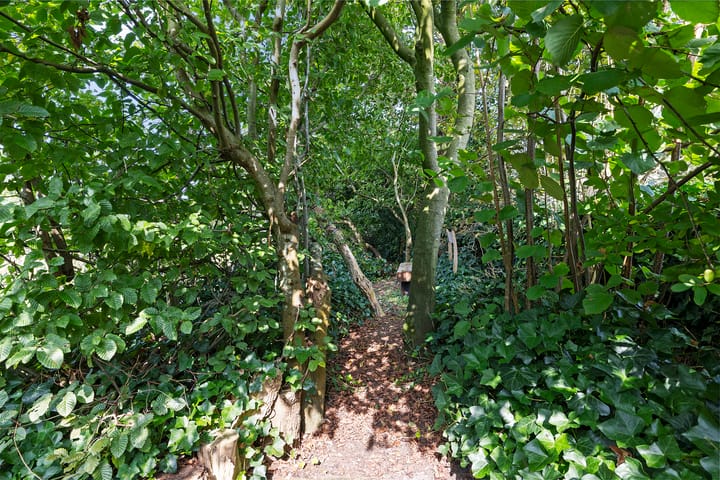 Foto 12 van Bunnerweg tussen 1 en 5