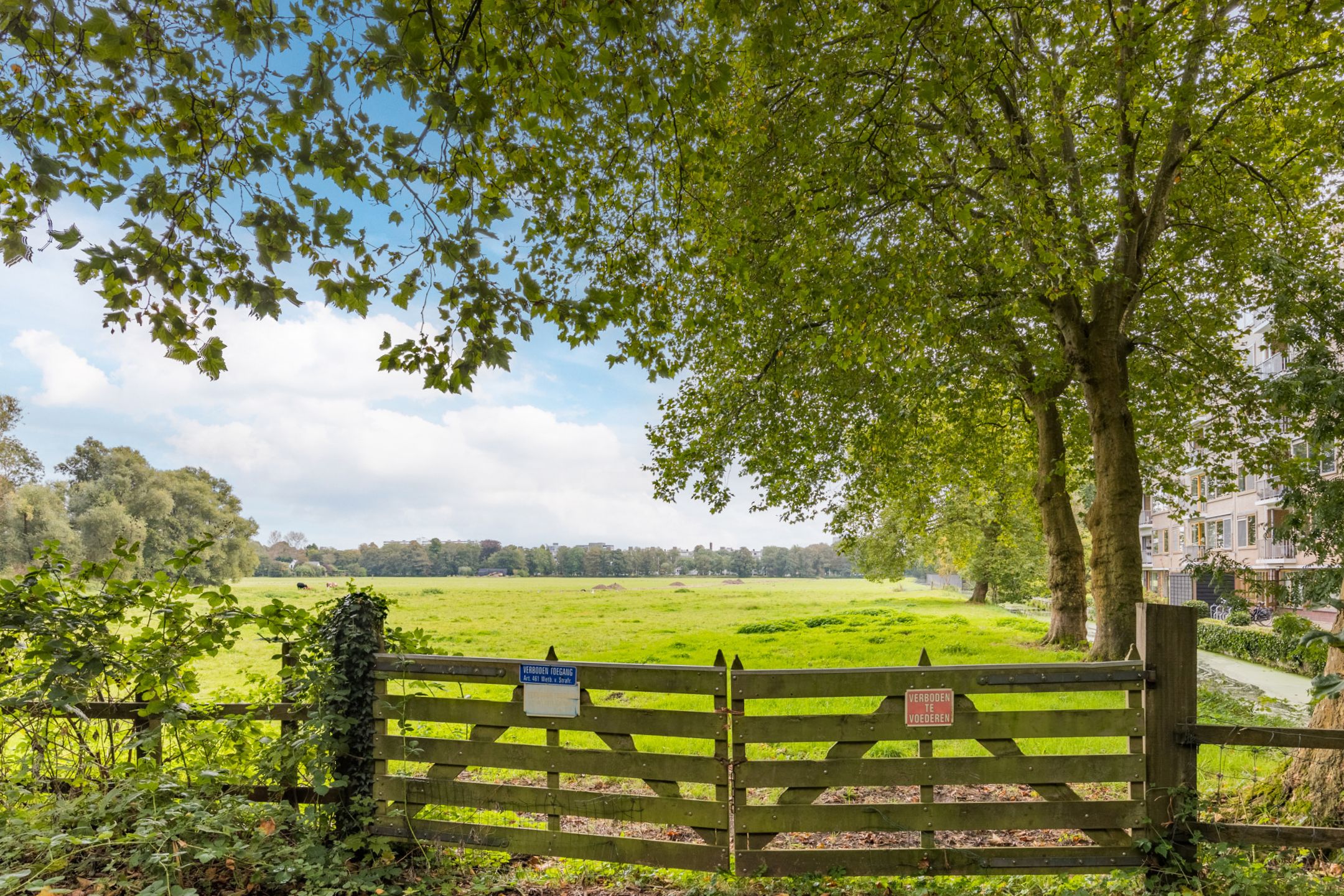 Foto 18 van Leidsestraatweg 15-221