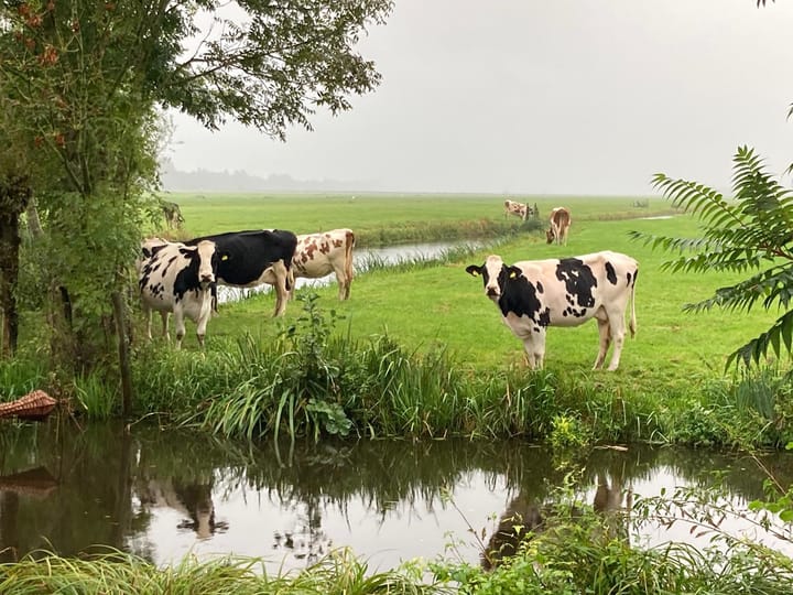 Foto 87 van Oost-Vlisterdijk 21