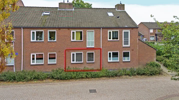 undefined main image