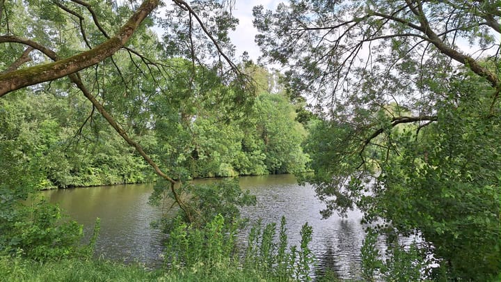 Foto 44 van Populierenlaan 111