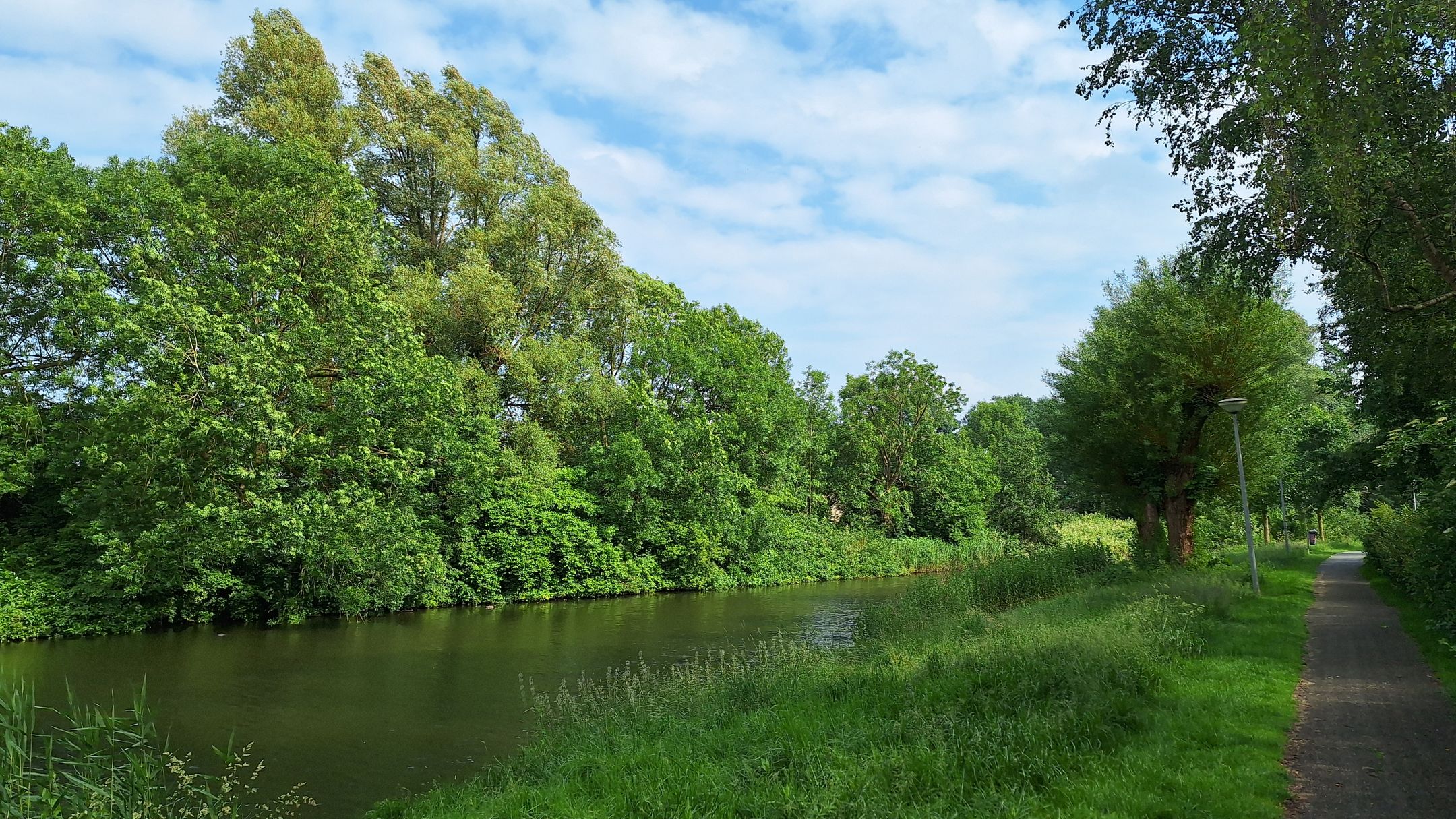 Photo 45 of Populierenlaan 111