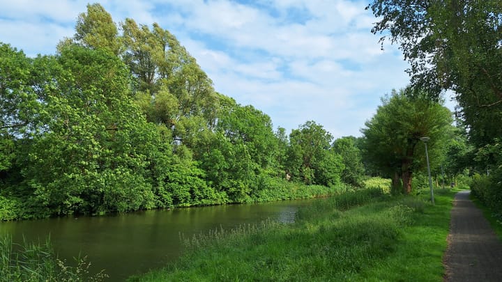 Foto 45 van Populierenlaan 111
