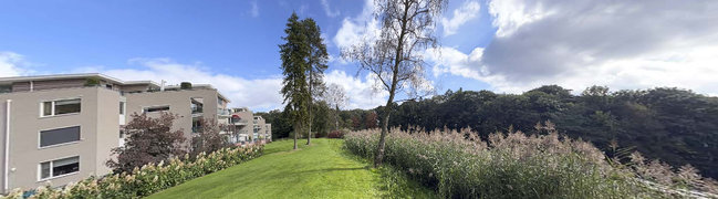 Bekijk 360° foto van Park van Molenwijkseweg 74