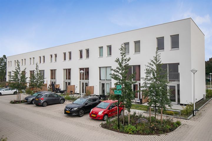 Bekijk foto 3 van Jaap Edenstraat 11