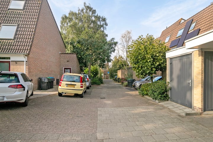 Foto 7 van Pijlkruidmeen 24