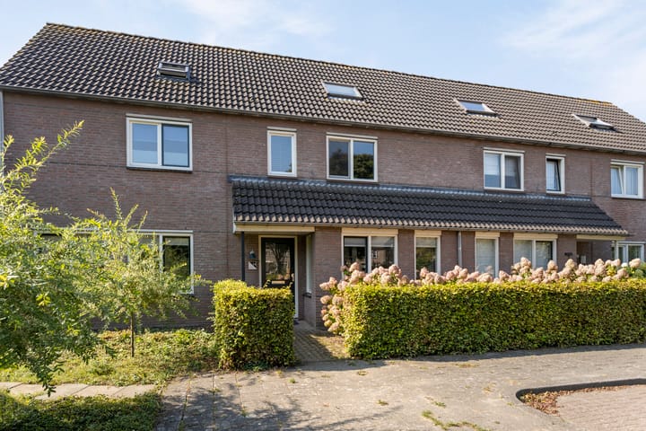 Foto 7 van Rietbos 14
